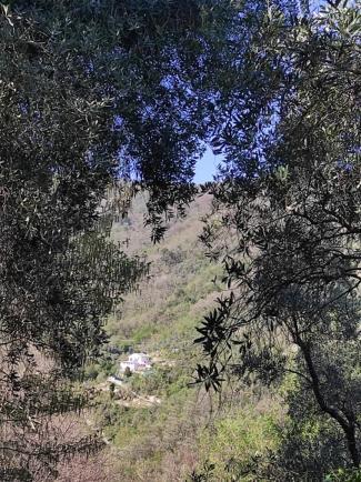 Tottavilla Affittacamere Campodonico  Экстерьер фото